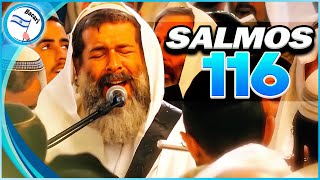 Salmos 116 cantados en la Sinagoga de las Cuevas de los Patriarcas y Matriarcas en Hebron [upl. by Nnail]