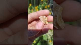 Beautiful little druzy piece thefinders semipreciousstone crystals [upl. by Esinnej]