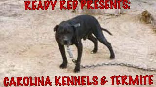 CAROLINA KENNELS INTERVIEW TERMITE BLOODLINE OF THE WORLD FAMOUS JOCKO REDBOY CROSS [upl. by Larcher]