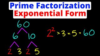 Writing Answers in Exponential Form  Prime Factorization  Eat Pi [upl. by Colwen]