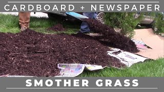 Sheet Mulching Smother Grass with Cardboard and Newspaper [upl. by Lasonde721]