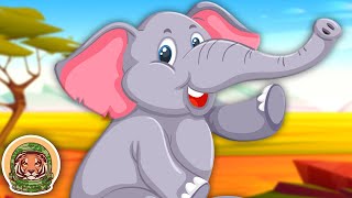 Meet The Elephant  Animal Songs For Kids  KLT WILD [upl. by Josiah]