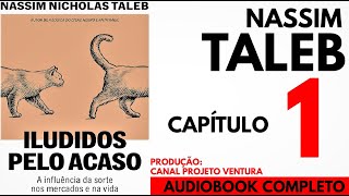 ILUDIDOS PELO ACASO  Capitulo 1  Nassim Taleb  AUDIOBOOK [upl. by Irakuy124]