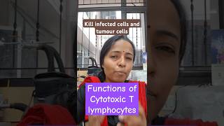 Cytotoxic T lymphocytes functions immune system physiology class mbbs1styear physiologylectures [upl. by Audras]