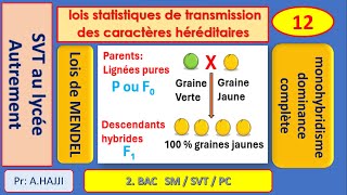 lois statistiques de MENDEL  monohybridisme  dominance complète [upl. by Zoila]