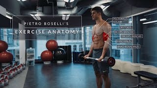 Pietro Bosellis Exercise Anatomy  Trailer [upl. by Hamil]