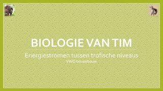 Biologie van Tim  Energiestromen tussen trofische niveaus bovenbouw [upl. by Fonzie]