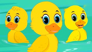 Five Little Ducks Went Swimming One Day Kids Nursery Rhyme Song [upl. by Siraval]