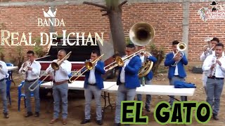 Banda Real De Ichan Michoacan El Gato [upl. by Jeannine736]