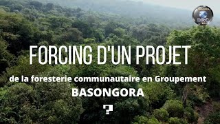 FORCING DU PROJET DE LA FORESTERIE COMMUNAUTAIRE EN GROUPEMENT BASONGORA [upl. by Murrah581]