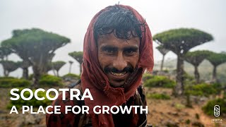 Socotra  A Place for Growth [upl. by Ardnad]