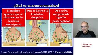 Qué son y qué hacen los neurotransmisores en las sinapsis neuronales [upl. by Koss]