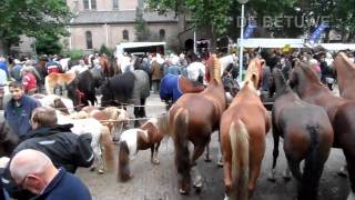 Elster Paardenmarkt 2011 09 05 [upl. by Notnel]