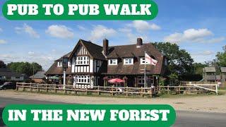 NEW FOREST WALK FROM THE HIGH CORNER INN TO GODSHILL VIA FROGHAM A quotPUB TO PUBquot WALK [upl. by Candi]