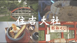 【vlog】住吉大社に行ってきました⛩ [upl. by Carlo]