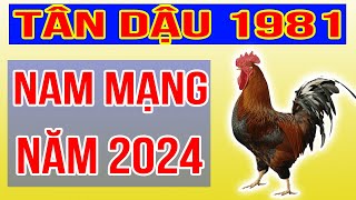 Xem Tử Vi Nam Mạng Tuổi Tân Dậu 1981 Năm 2024 Giáp Thìn [upl. by Fifine]