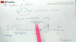 Strecker synthesis  Synthesis of Glycine Alanine valine and Leucine  Synthesis of aminoacids [upl. by Leohcin]