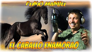 ¡PLINIO MANUEL 2024 CABALLO ENAMORADO 2024 plinio manuel EXITOS 2024 [upl. by Myriam]