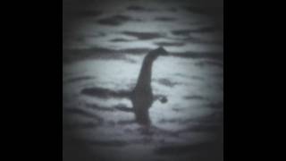 quotThe Beast Of Lochnessquot  Nessie Edit lochnessmonster nessie beast [upl. by Coopersmith]