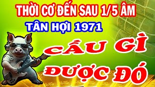 Tháng 5 Âm ĐỜI SANG TRANG MỚI TÂN HỢI 1971 Cầu Phật  Phật Độ Ôm Lộc Lớn GIÀU NỔI BẬT NHẤT VÙNG [upl. by Ailema]