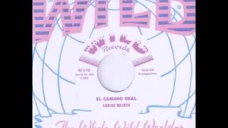 Carlos Mejuto  El Camino Real WILD RECORDS [upl. by Mraz537]