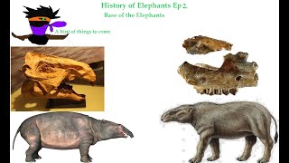 The History of Elephants Ep2 Base of the Elephants [upl. by Bate206]