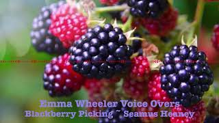 Blackberry Picking  Seamus Heaney [upl. by Sig]