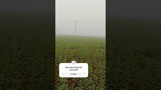 Profarmer farmerlife farming agriculture villagefield punjabisong punjabi newsong [upl. by Malony]