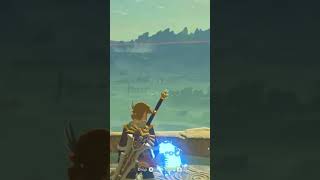 BLSS So Fun The Legend of Zelda Breath of The Wild thelegendofzeldabreathofthewild [upl. by Storfer]