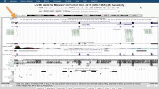 IIHG Intro to the UCSC Genome Browser  Part 1 of 5 [upl. by Marrilee753]