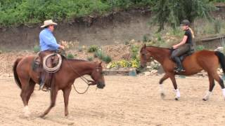 Pat Parelli Four Savvys Student Lesson  Finesse Level 4 [upl. by Golter175]