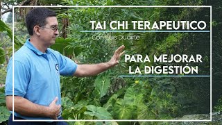 TAI CHI TERAPEUTICO para mejorar la DIGESTIÓN y Eliminación 😏 [upl. by Ida975]