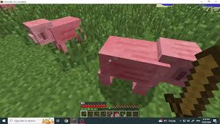 minecraft 165 cancelled part 1 [upl. by Eiromem]