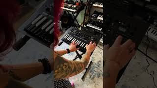 KORG Mini Sound Demo TapeSine Preset on KORG minilogue xd Inverted [upl. by Axel]