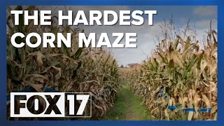 One of the most challenging corn mazes in West Michigan Could you complete it [upl. by Libby386]