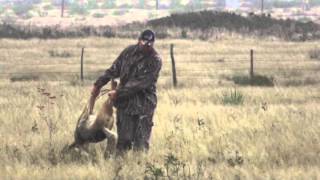 Coyote Hunting with the Extreme Rabbit Distress Call [upl. by Clayberg2]