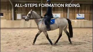 Poldice Valley Equine amp Events Arena 121024 AllSteps Formation Riding clinic [upl. by Ahse30]