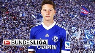 Julian Draxler  Top 5 Goals [upl. by Aicyle116]