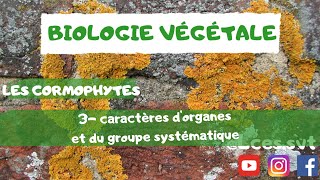 Les cormophytes les caractères dorganes et du groupe systématique [upl. by Ann433]