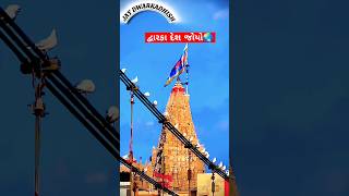 Dwarkadhish Desh joyo👑🌏 dwarkayoutubeshorts music viral trending top new song love [upl. by Ennoryt]