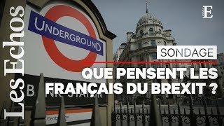 3 Français sur 4 jugent que le Brexit naura pas deffet [upl. by Kohcztiy]