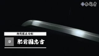 【新刀最上作】特別保存刀剣 肥前国忠吉 中直刃を焼き、小沸出来となり、匂口柔らかく、刃中働き、匂口冴える。 [upl. by Eirrej]