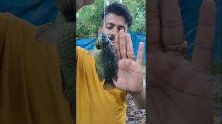 ഈ മീൻ ഇത്രയും വലുതാകുമോ fishing bigfish forest ishaansdreamworld reels malayalam sea [upl. by Pears]