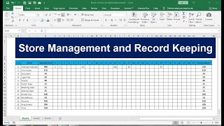 store management and record keeping in excel [upl. by Noyahs663]