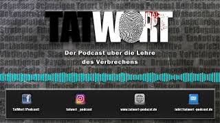 24  Kriminalitätstheorien Die Soziale Desorganisation  TatWort [upl. by Natsirt]