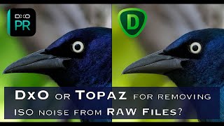 DxO or Topaz for removing noise from RAW files You be the judge [upl. by Tlevesoor695]