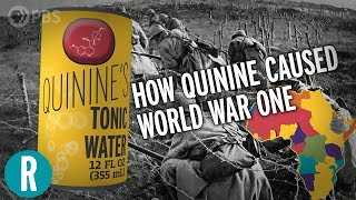 How Quinine Fights Malaria and How That Caused World War One [upl. by Hildegard987]