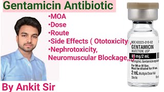 Gentamicin Antibiotic  Aminoglycoside  Mechanisms Of Action Dose  Route Side Effectsmedical [upl. by Akihsar965]