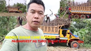 NEGROS SUGAR CANE FARMERSPAG HARVEST NG TUBOSUGARCANE [upl. by Netsrijk]