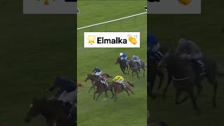 Elmalka Triumphs in the 2024 1000 Guineas at Newmarket [upl. by Duntson829]